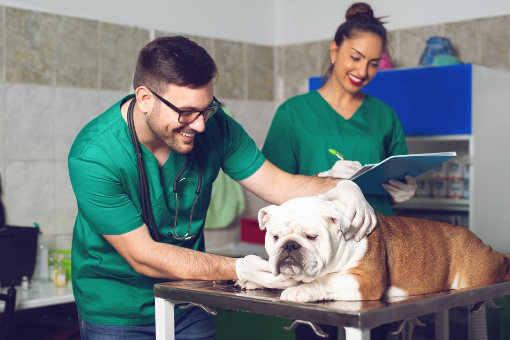 Veterinarian and assistant providing supporting wellness care for pets at Montgomery Veterinary Hospital